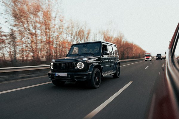 How to Set Up a Pet-Friendly Kitchen with Feeding and Washing Areas?